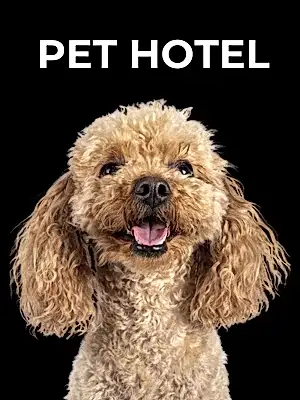 Pet Hotel