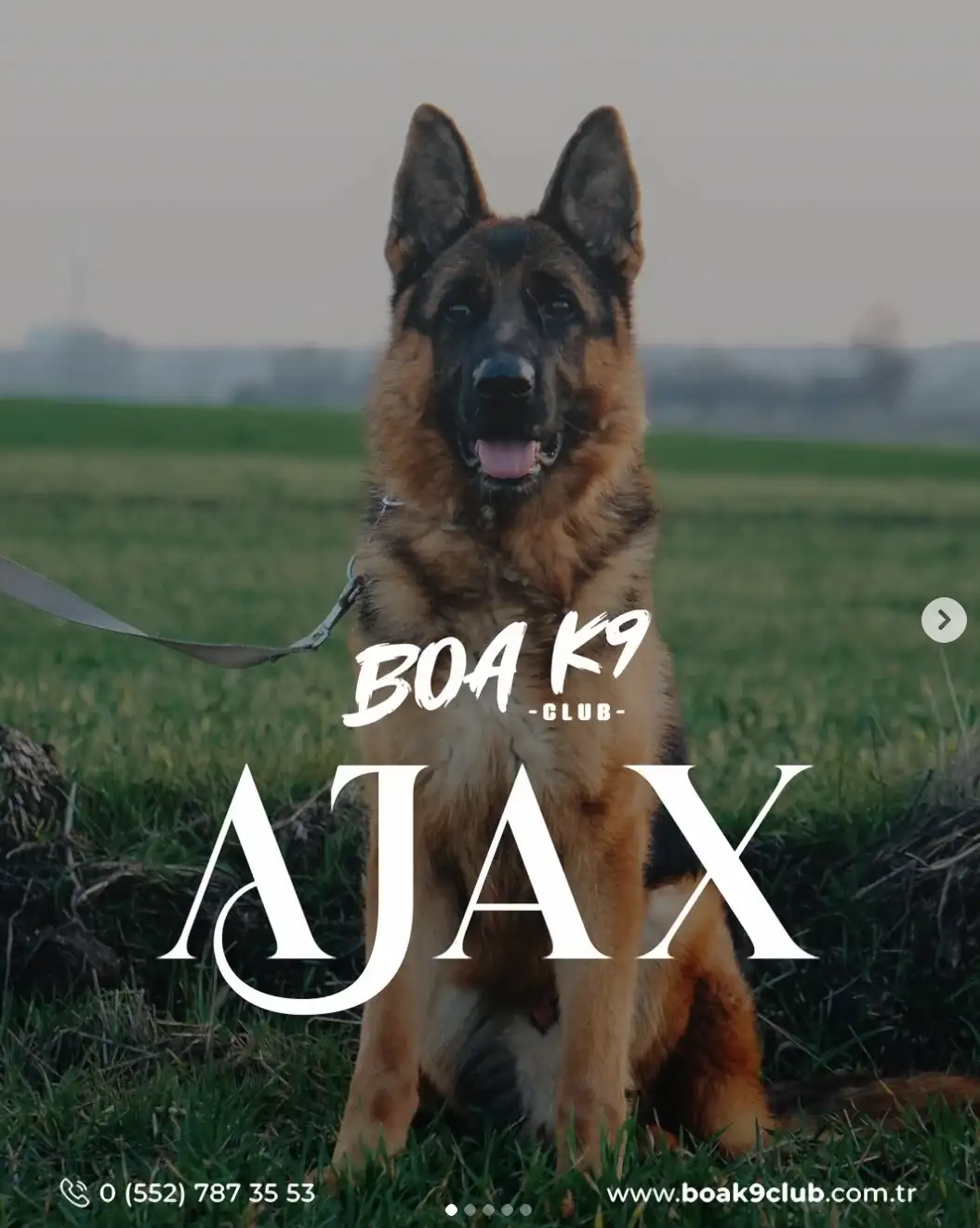 Ajax